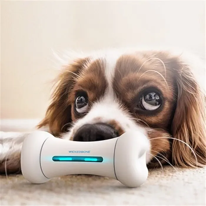 Smart bones Toys Dog Toys