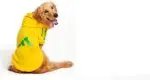 Pet clothing Dog clothes in autumn and winter Clothes