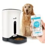 Automatic Feeding Device Wifi Cat Dog Food Timing Quantitative Basin