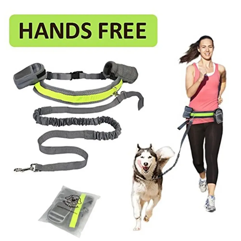 3514900638200 Adjustable Hands Free Dog Leash