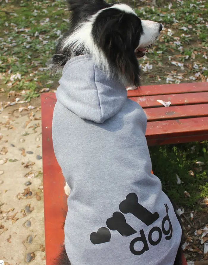 Pet clothing Dog clothes in autumn and winter Clothes