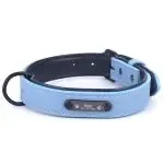 Pet collar