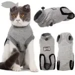 Restoring Clothes After Cat Sterilization Clothes