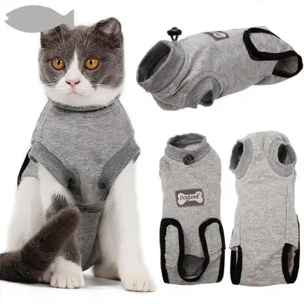 Restoring Clothes After Cat Sterilization Clothes
