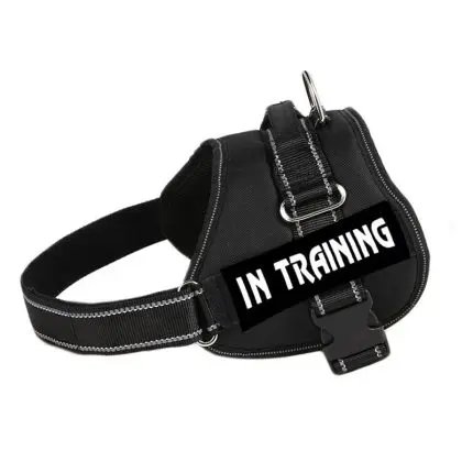 Dog chest strap with explosion-proof