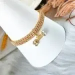Three-drain drill zircon bone pet collar