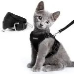 Breathable chest strap pet supplies