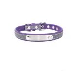 Pet collar stainless steel iron lettering anti-lost dog collar