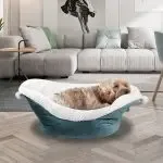 Winter Deep Sleep Boat Cat Litter
