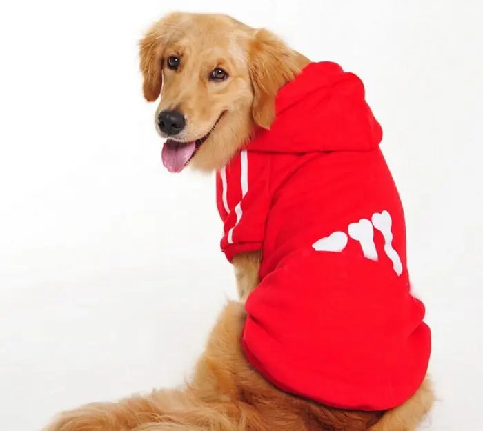 Pet clothing Dog clothes in autumn and winter Clothes