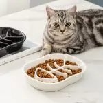 Slow Food Bowl Ceramic Cat Bowl