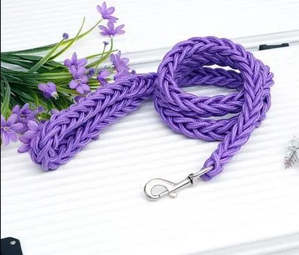 Pet leash with large dog rope