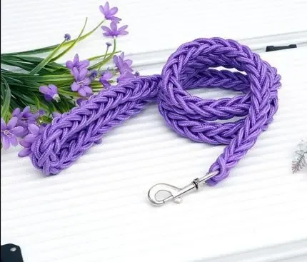 Pet leash with large dog rope