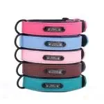 Pet collar