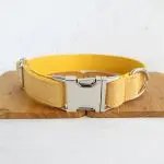 Adjustable dog collar with customizable name