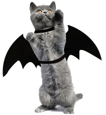 Halloween Costume Pet Bat Wing