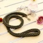 Pet leash with large dog rope