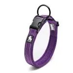 Anti Strangulation Medium Teddy Pet Dog Collar