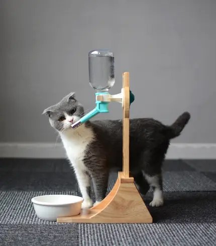 Cat Drinking Water Dispenser
