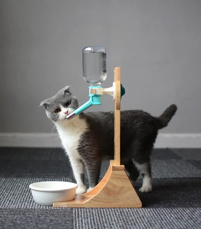 Cat Drinking Water Dispenser