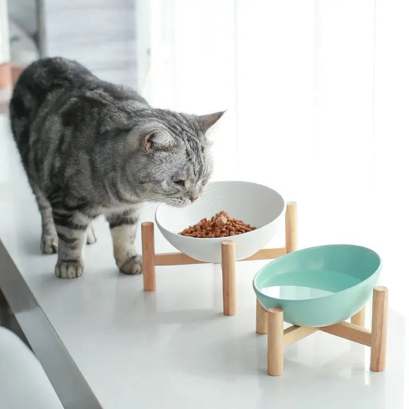 Ceramic Cat Bowl Drinking Bowl