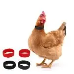 Rooster Neck Collar Supplies