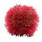 Aquarium Plants For The Fish Tank Aquarium Decoration