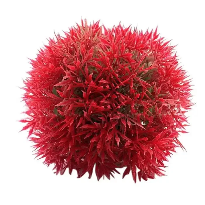 Aquarium Plants For The Fish Tank Aquarium Decoration