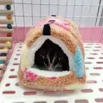 Bird Mini Winter Hanging Hut