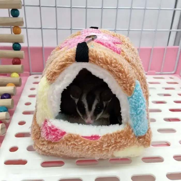 Bird Mini Winter Hanging Hut