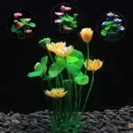 Aquarium Plants For The Fish Tank Aquarium Decoration