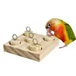 Intelligence Training Chew Puzzle Toy