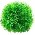 Aquarium Plants For The Fish Tank Aquarium Decoration