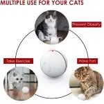 Cat 360 Degree Self Rotating Ball