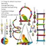 10 Peaches Bird Cage Toys