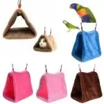 Bird Warm Hanging Cave