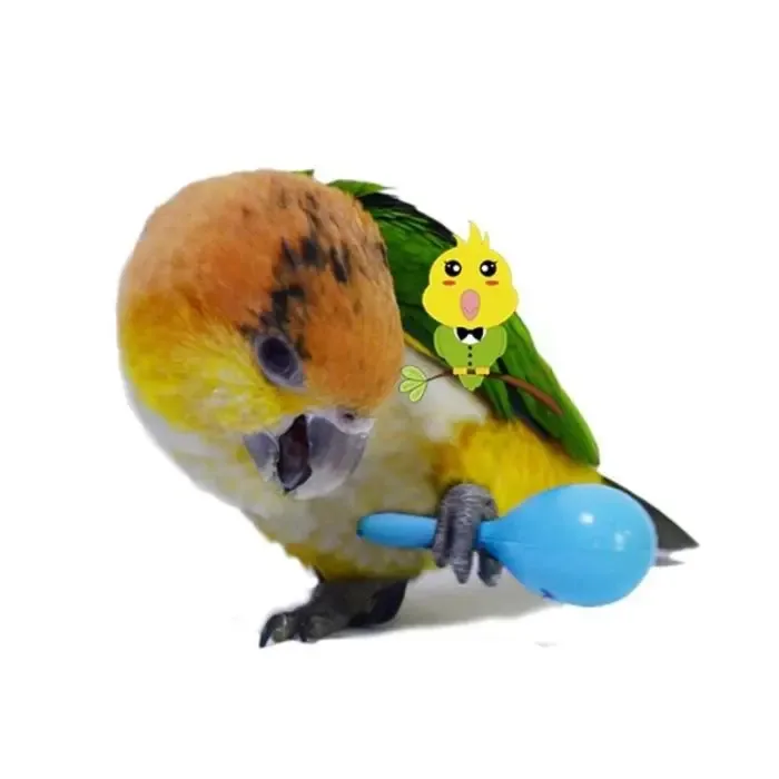 Accessories Play For Birds