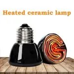 Reptile Pet Heating Lamp