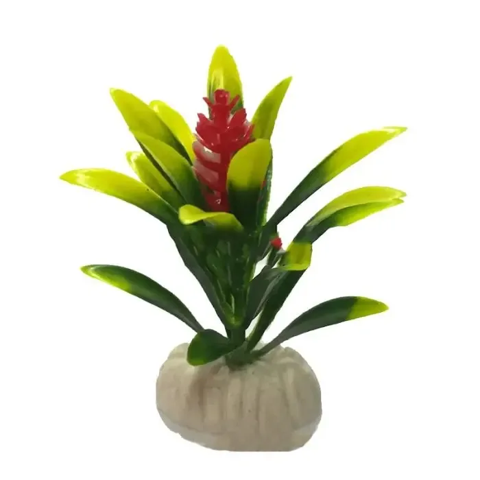 Aquarium Plants For The Fish Tank Aquarium Decoration