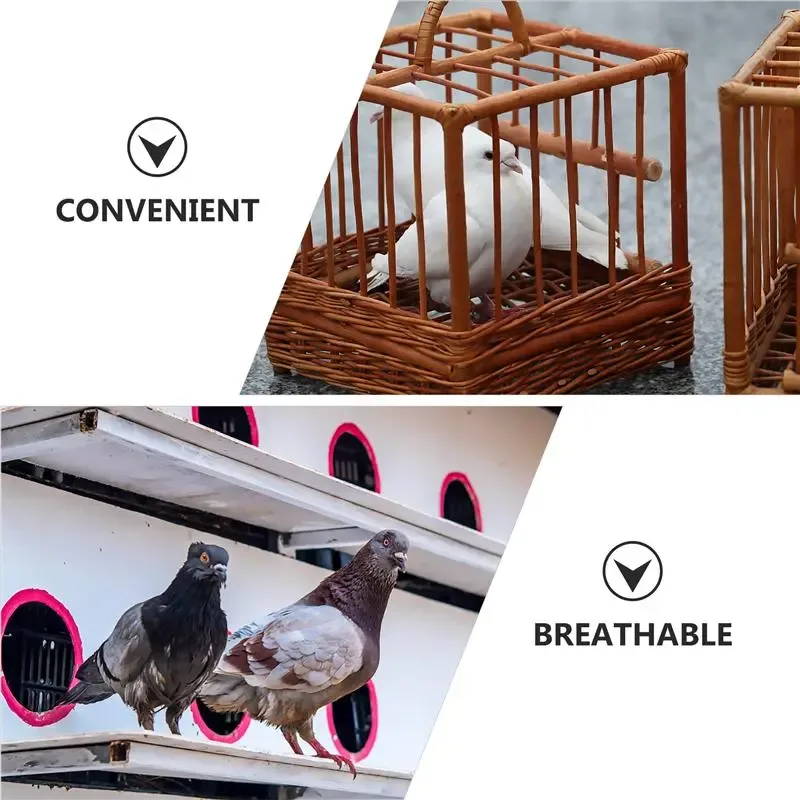 Pigeon Breeding Eggs Mat