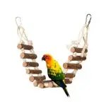 Bird Colorful Acrylic Bridge Cage