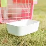 Carrier Box Plastic Cat Feeder