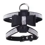 Pet Chest Strap Shining Rhinestone Heart design