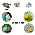 Super Portable Bird Carrier Travel Bag