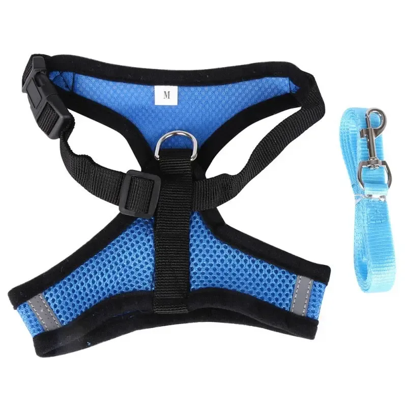 Pet Chest Strap Shining Rhinestone Heart design