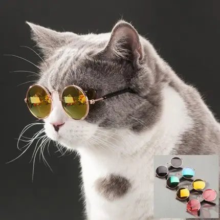 Pet Cat Glasses Cat Eye Wear Sunglasses Photos Props Accessories Pet Supplies Toy