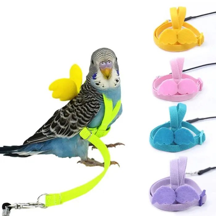 Adjustable Bird Harness Leash Set