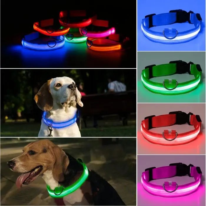 Nylon LED Light Up Dog Leash Night Safety LED Flashing