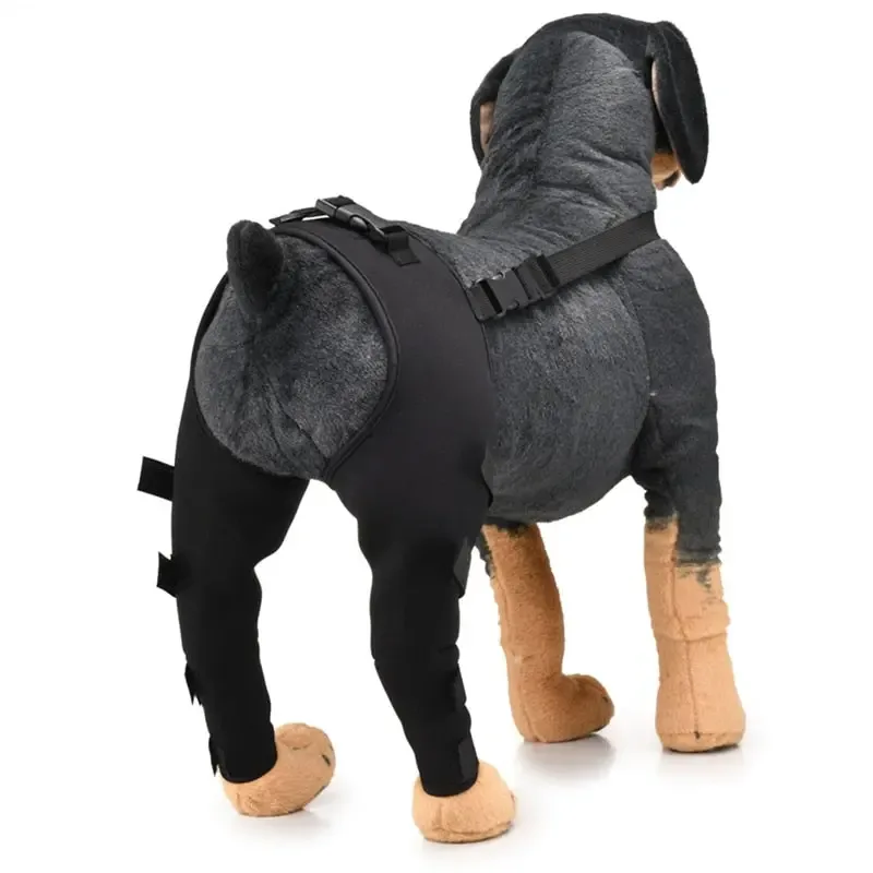 Pet Leg Support Supplies