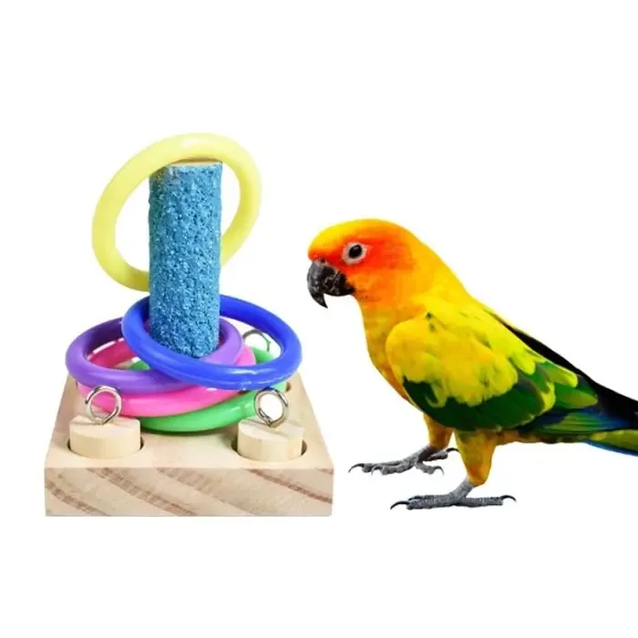 Intelligence Training Chew Puzzle Toy